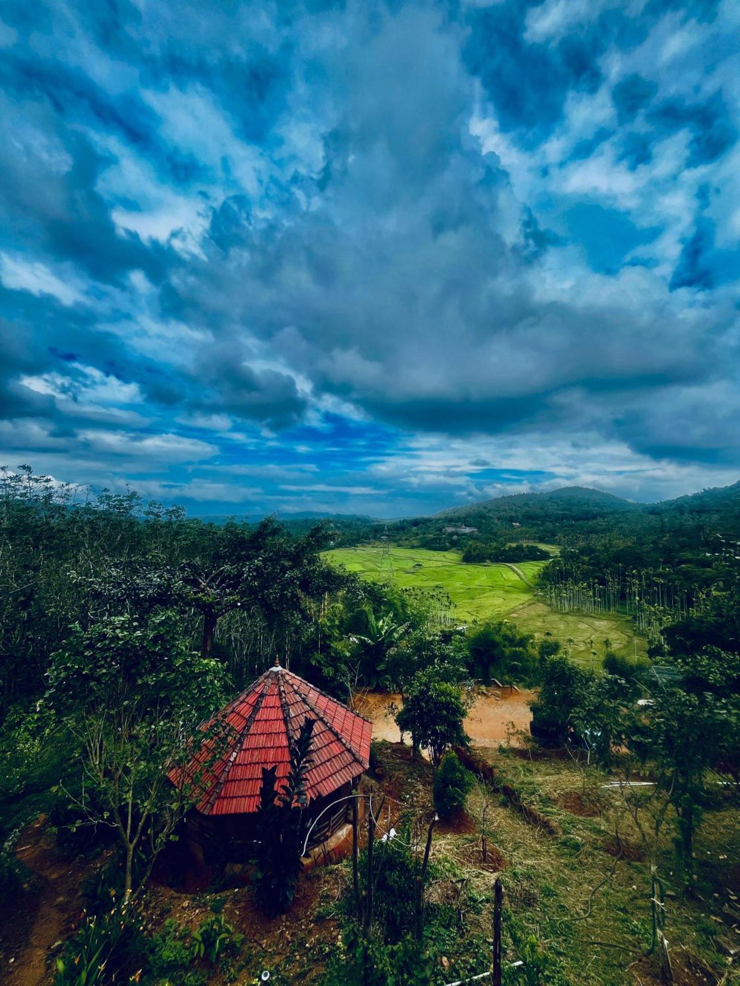 Angels Nest Home Stay 2 Acra Private Plantation Mountain Area Balconey Sunrice View Nearby Ngarhole Wild Life , Tholpetty Wild Life , Pakshipathalam Bird Santuary , Kuruva Island # Thirunelly & Thrissilery Temple Near By Secure Stay Wayanad Kerala Chegāt Esterno foto